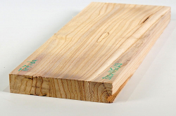 Tr007 Catalpa, Bean Tree Small Board 310 x 115 x 23 mm