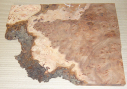 Rue034 Elm Burl Small Board 360 x 240 x 20 mm