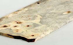 By017 Buckeye Burl Brettchen 275 x 130 x 6 mm