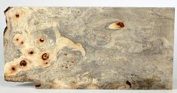 By017 Buckeye Burl Small Board 275 x 130 x 6 mm