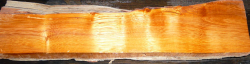 European Purging Buckthorn Penblank 120 x 19 x 19 mm