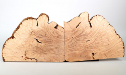 Ca010 Canistel Burl, Eggfruit Tree Burl Pair of bookmatched Slices 500 x 160 x 15 mm