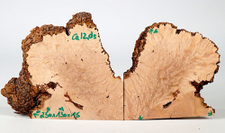Ca012 Canistel Burl, Eggfruit Tree Burl Pair of bookmatched Slices 250 x 130 x 15 mm