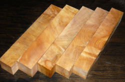 Rk016 Horse Chestnut Spalted Set of 5 pcs. Pen Blanks a 120 x 20 x 20 mm