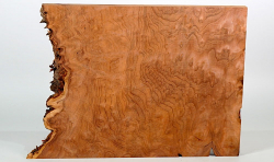 Re021 Redwood Burl, Sequoia Vavona Burl Small Board 330 x 265 x 21 mm
