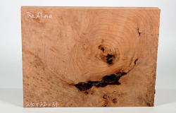 Re023 Redwood, Sequoia Vavona Maser Deko-Block 290 x 220 x 31 mm