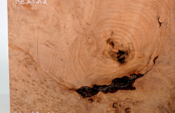 Re023 Redwood, Sequoia Vavona Burl Block 290 x 220 x 31 mm
