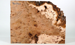 Rue071 Elm Burl Small Board 360 x 260 x 20 mm