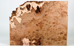 Rue071 Elm Burl Small Board 360 x 260 x 20 mm