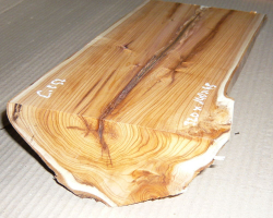 Ei057 Yew Log Section Crotch 320 x 140 x 45 mm