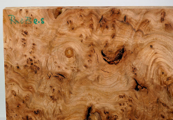 Rue073 Elm Burl Decorative Board 370 x 220 x 26 mm