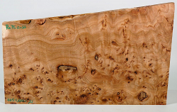 Rue075 Elm Burl Decorative Board 445 x 220 x 21 mm