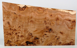 Rue076 Elm Burl Decorative Board 445 x 120 x 15 mm