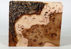 Rue082 Elm Burl Decorative Board 185 x 155 x 48 mm