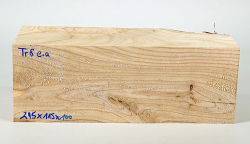 Tr008 Catalpa, Bean Tree Blank 295 x 115 x 100 mm