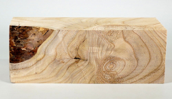 Tr008 Catalpa, Bean Tree Blank 295 x 115 x 100 mm