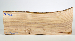 Tr010 Catalpa, Bean Tree Log Section 380 x 130 x 55 mm