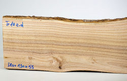 Tr010 Trompetenbaum, Catalpa Stammabschnitt 380 x 130 x 55 mm