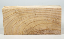 Tr011 Catalpa, Bean Tree Block 205 x 95 x 35 mm