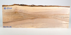 Nb137 Nussbaum europäisch mit Splint 500 x 160 x 23 mm