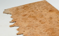 Rue046 Elm Burl Saw Cut Veneer 400 x 180 x 2 mm