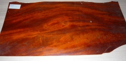 Ma522 Antique Mahogany veneer old polish mid 19th Century 770 x 380 x 1,5 mm