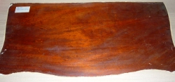 Ma524 Antique Mahogany veneer old polish mid 19th Century 790 x 390 x ca. 2-1,5 mm