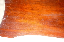 Ma524 Antique Mahogany veneer old polish mid 19th Century 790 x 390 x ca. 2-1,5 mm