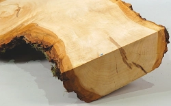 Li070 Linden Burl Wood Decorative Board 550 x 230 x 50 mm