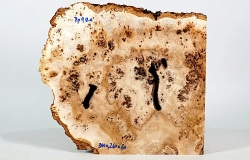 Pp009 Poplar Burl Decorative Board 300 x 260 x 60 mm