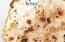 Pp009 Poplar Burl Decorative Board 300 x 260 x 60 mm