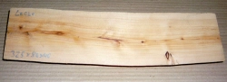 Le020 Eastern White Cedar, Thuya Cut Off 325 x 80 x 40 mm
