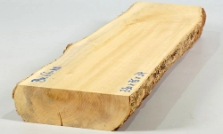 Bx066 Boxwood European Log Cutoff 330 x 75 x 34 mm