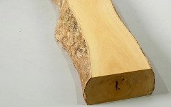 Bx067 Boxwood European Log Cutoff 500 x 55 x 30 mm