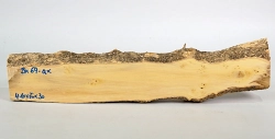 Bx069 Boxwood European Log Cutoff 410 x 70 x 30 mm