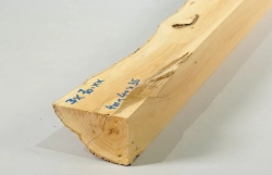 Bx070 Boxwood European Log Cutoff 400 x 40 x 35 mm