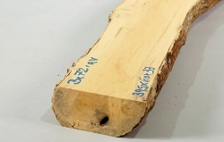 Bx072 Boxwood European Log Cutoff 395 x 60 x 33 mm