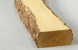 Bx072 Boxwood European Log Cutoff 395 x 60 x 33 mm