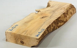 Bx073 Boxwood European Log Cutoff 300 x 90 x 32 mm