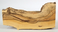Bx074 Boxwood European Log Cutoff 300 x 70 x 34 mm