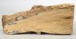 Bx075 Boxwood European Log Cutoff 320 x 100 x 30 mm