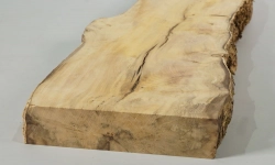 Bx075 Boxwood European Log Cutoff 320 x 100 x 30 mm