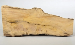 Bx075 Boxwood European Log Cutoff 320 x 100 x 30 mm