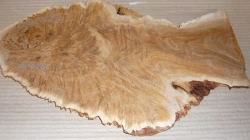 Bm041 Brown Mallee Burl Burl Slab 400 x 190 x 20 mm