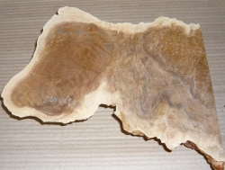 Bm049 Brown Mallee Burl Decorative Sculptural Piece ca. 260 x 150 x 45 mm