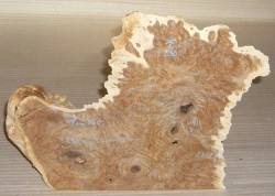 Bm050 Brown Mallee Burl Maserholz Dekostück Skulptur ca. 230 x 230 x ca. 60 mm