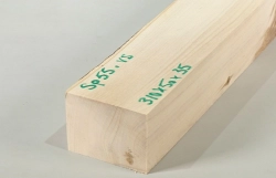 Sp055 Stechpalme Kantel 310 x 50 x 35 mm
