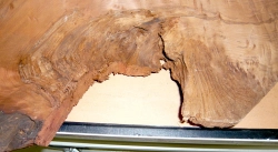 Re030 Redwood Burl Slab XXL f. Resin Hybrid Rivertable  1000 x 430 x 75 mm