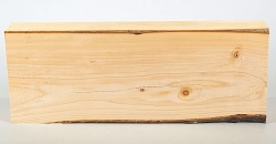Le001 Lebensbaum, Thuja Block 325 x 125 x 45 mm