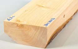Le002 Lebensbaum, Thuja Block 280 x 110 x 53 mm